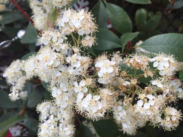 天源吉布世温泉水乐园,鞍山天源吉布世温泉一日游