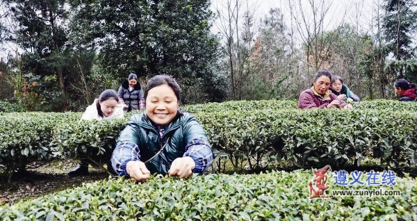 辉说酒,辉辉说剧二十二集