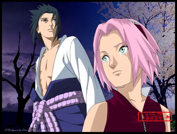 最受欢迎的二次元cp人气排行榜,最受欢迎的二次元cp投票处