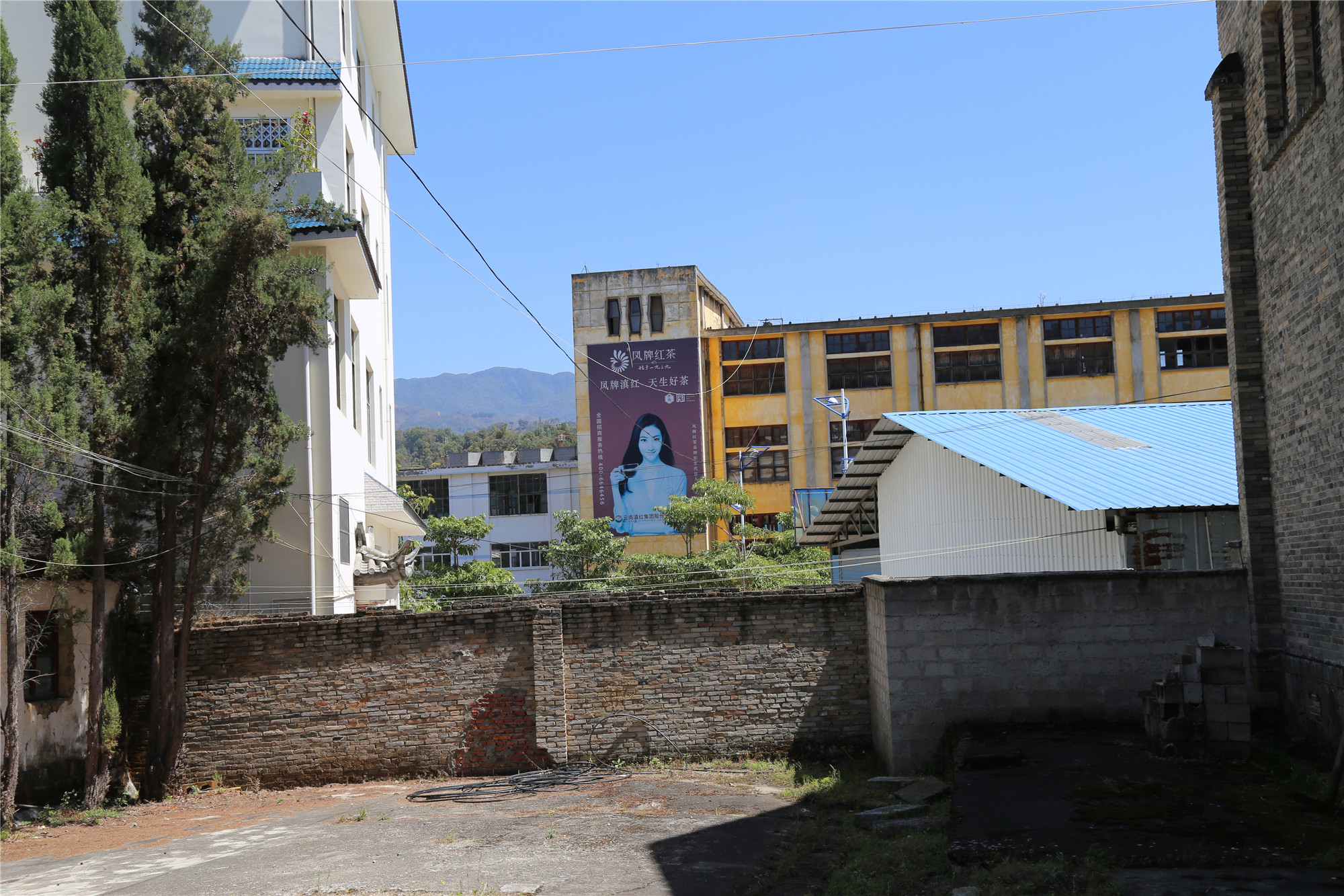 滇红记忆中国名茶,滇红创始人冯绍裘