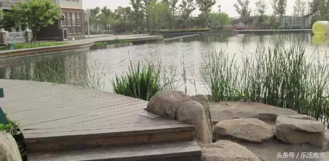 南京免费公园免费开放日一览表,南京最大的公园排名