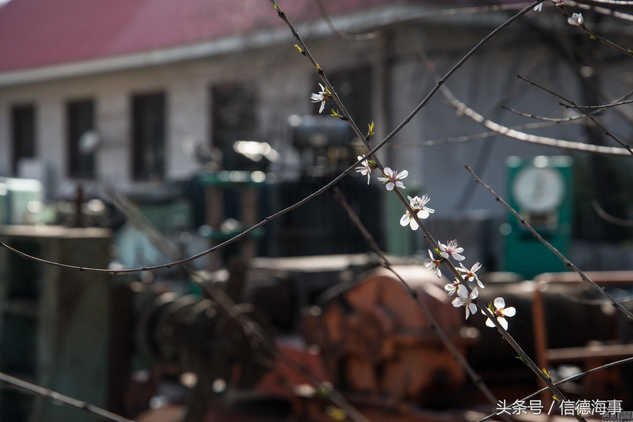 天津新港造船厂现状,天津新港船厂前景