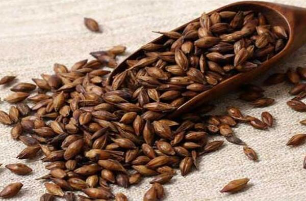 猪吃药后注意事项,猪在生病期间能喂饲料吗