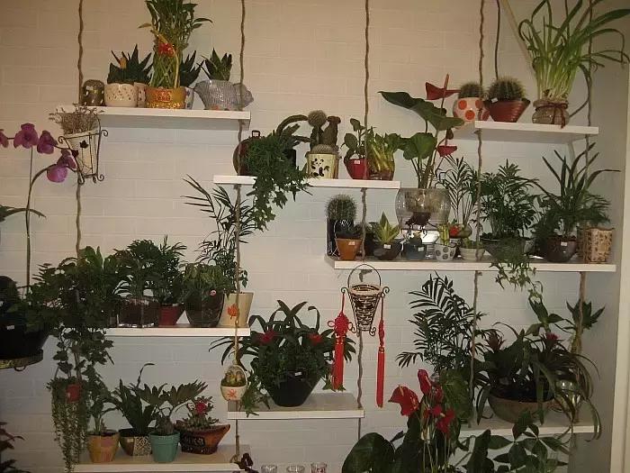 花店行业市场行情状况,开花店如何去看行业趋势