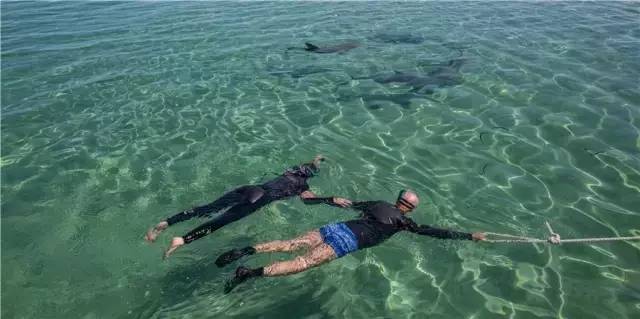 澳大利亚袋鼠岛旅游攻略,袋鼠岛旅游