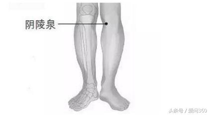 中药祛湿气是怎么把湿气排出的,排出湿气功能最强的19种食物