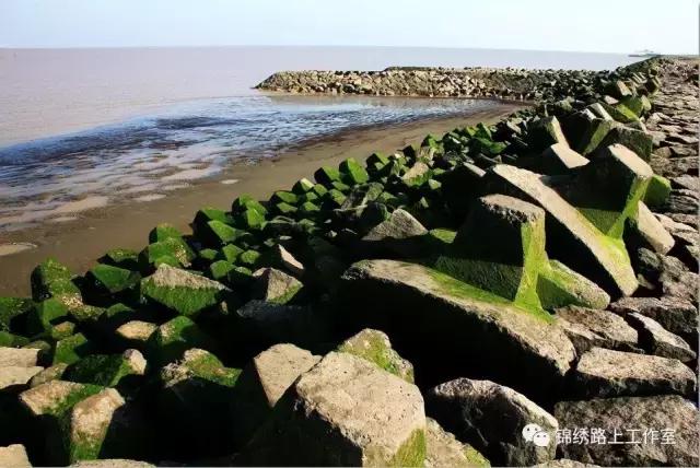 《创二代六班》金岩：三生三世，十里浦东