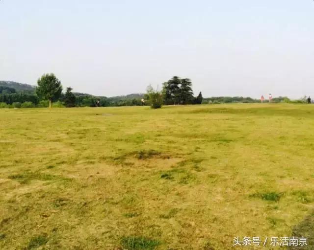 南京免费公园免费开放日一览表,南京最大的公园排名