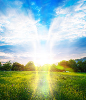 普遍的幻觉,出现濒死感三次