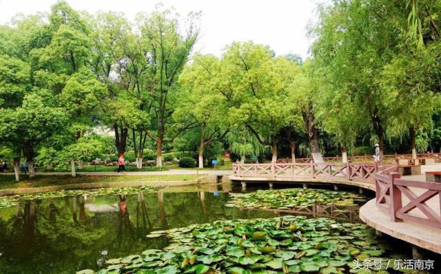 南京免费公园免费开放日一览表,南京最大的公园排名