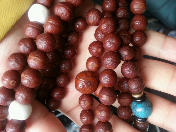 凤眼菩提同品相的价格,凤眼菩提怎样看好坏