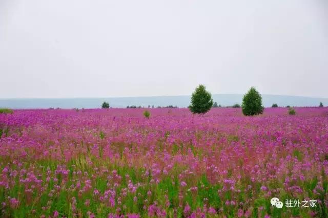 这个单身姑娘一个人一台车一年行走二十多个国家