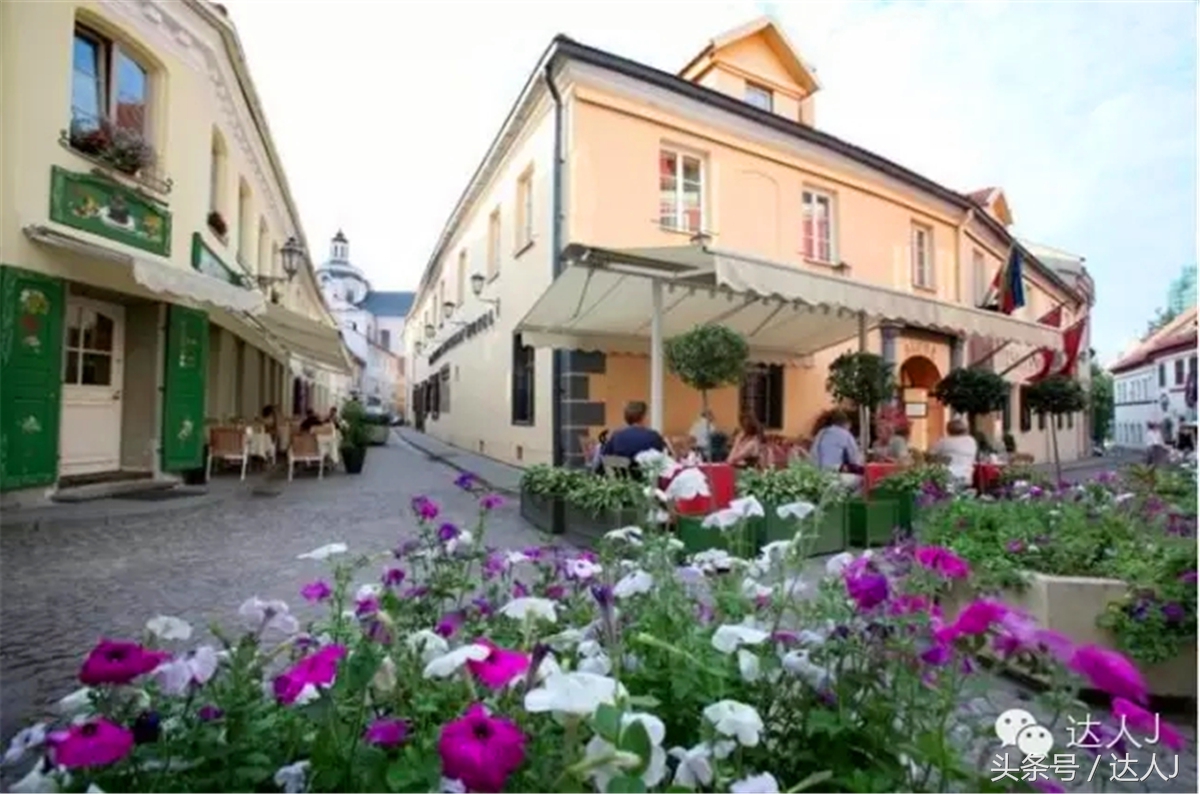 猜猜哪个国家连刺猬都有路牌？