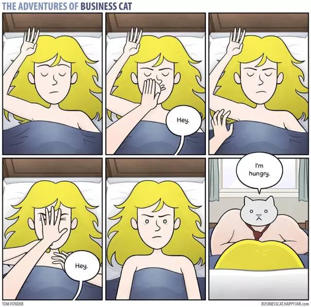 如果猫当老板会怎么样,假如老板是只猫该有多好