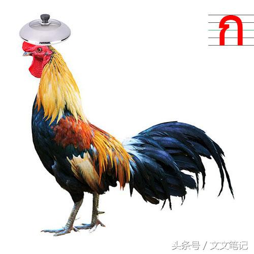 有趣的记忆法和技巧,有趣的记忆方法视频