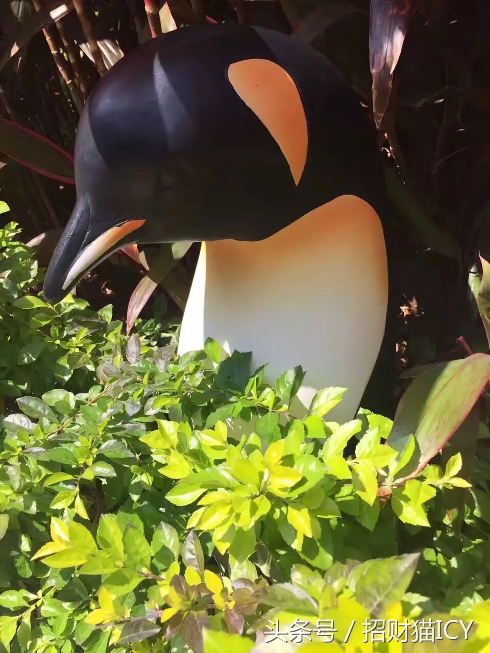 珠海长隆奇幻之旅,广州珠海长隆两天一夜攻略