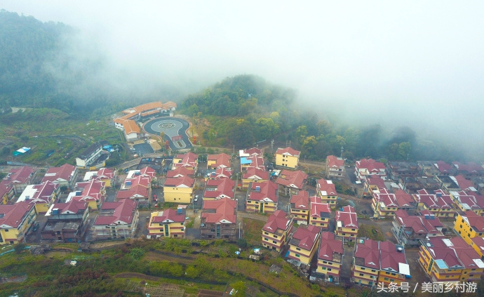 美丽乡村森林图片,洋畲村乡村旅游景点
