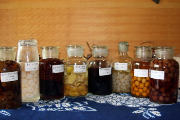 在不同的季节，酿造不同果酒，感受自酿果酒的喜悦