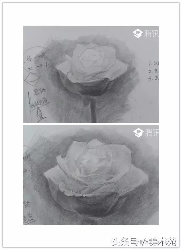 素描怎么画玫瑰花最好看,玫瑰素描画教程