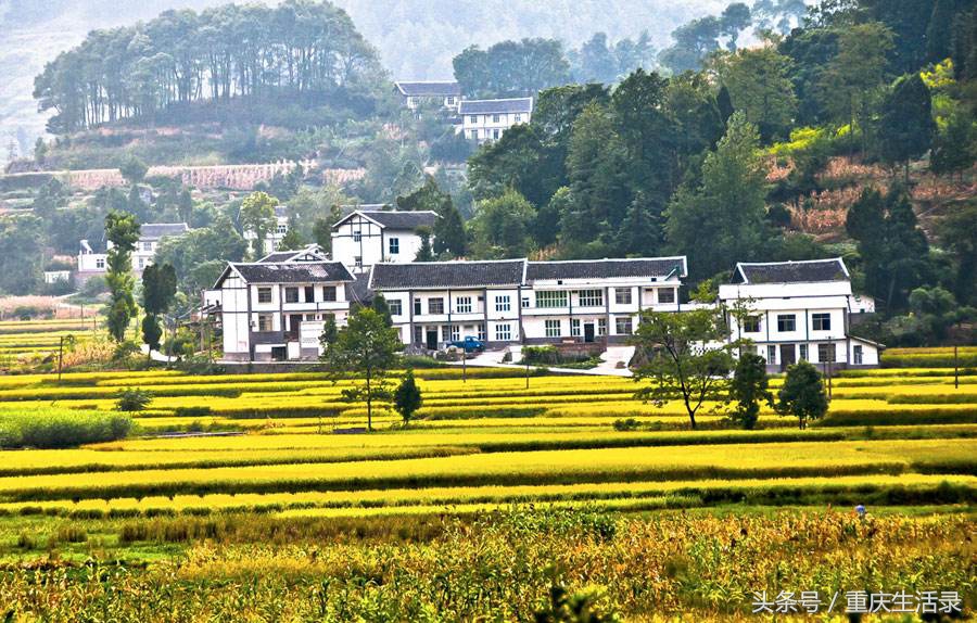 重庆地区贫富,重庆贫富排行榜