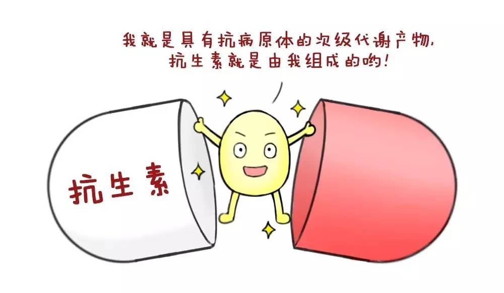 滥用多种抗生素会得癌症吗,滥用抗生素会增加器官毒性吗