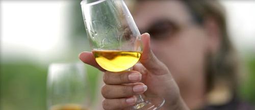 在不同的季节，酿造不同果酒，感受自酿果酒的喜悦