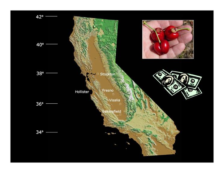 甜樱桃可持续发展的措施,美国加州樱桃