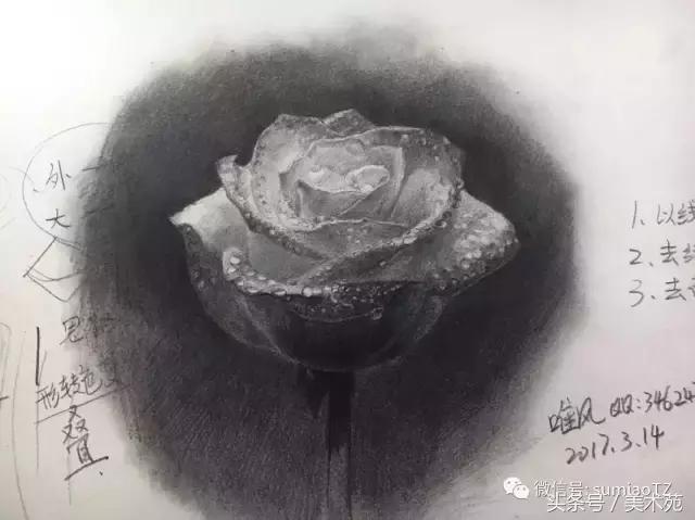 素描怎么画玫瑰花最好看,玫瑰素描画教程