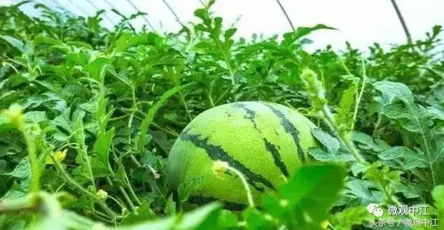 四川德阳最美景区,德阳中江最好的镇