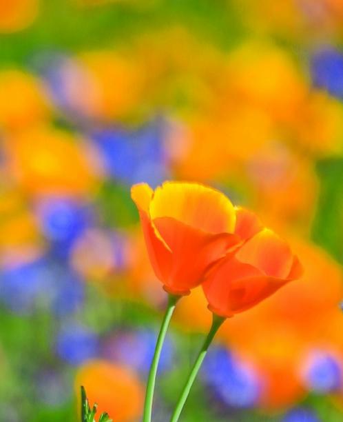 美国钻石湖,美国钻石公园游玩