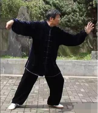 杨式85式太极拳单鞭分几步,杨式85式太极拳单鞭的攻防含义