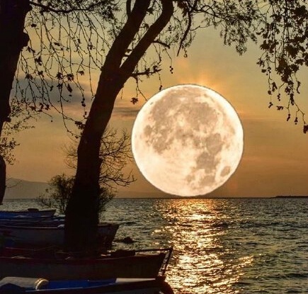 三毛极美的九句话道尽人生,三毛的话惊艳了时光温暖了岁月