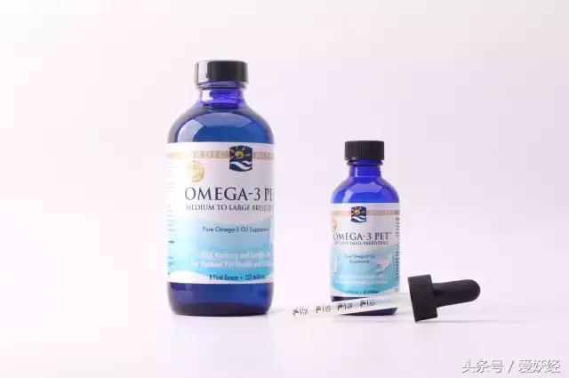 宠物鱼油应该怎么喂,宠物鱼油科普