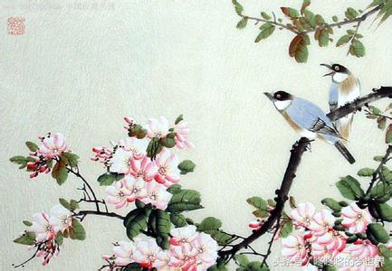 阴阳师ssr花鸟,阴阳师ssr鸟