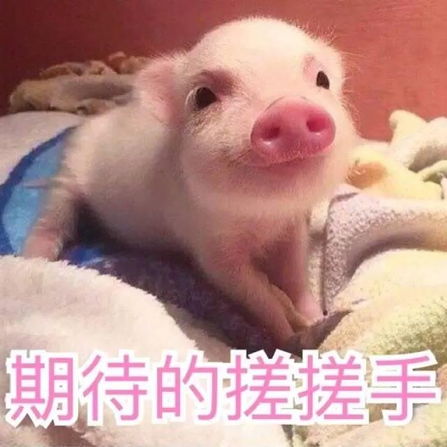 放大眼睛美瞳怎么选,美瞳超大全眼怎么摘