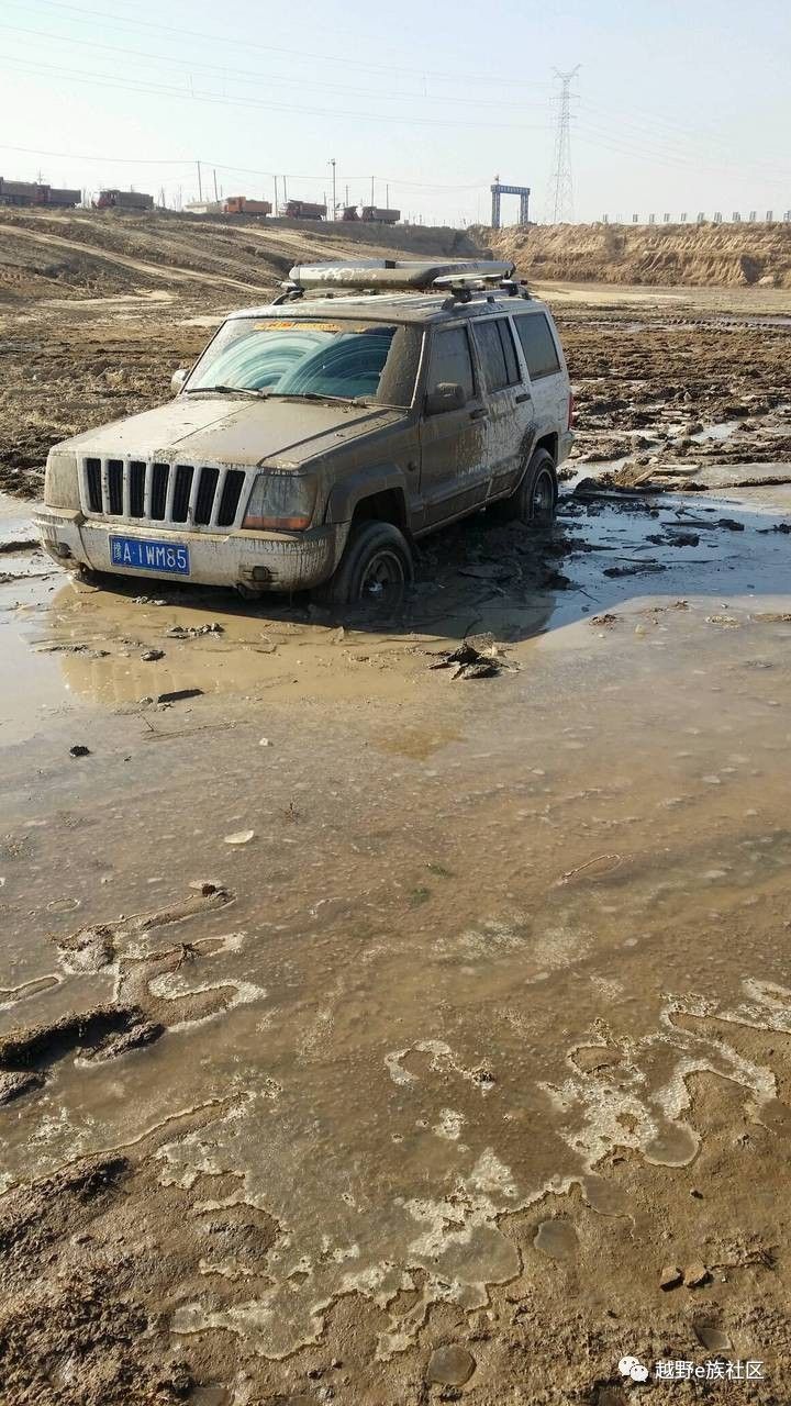 陪伴是最长情的告白——我和切诺基的故事