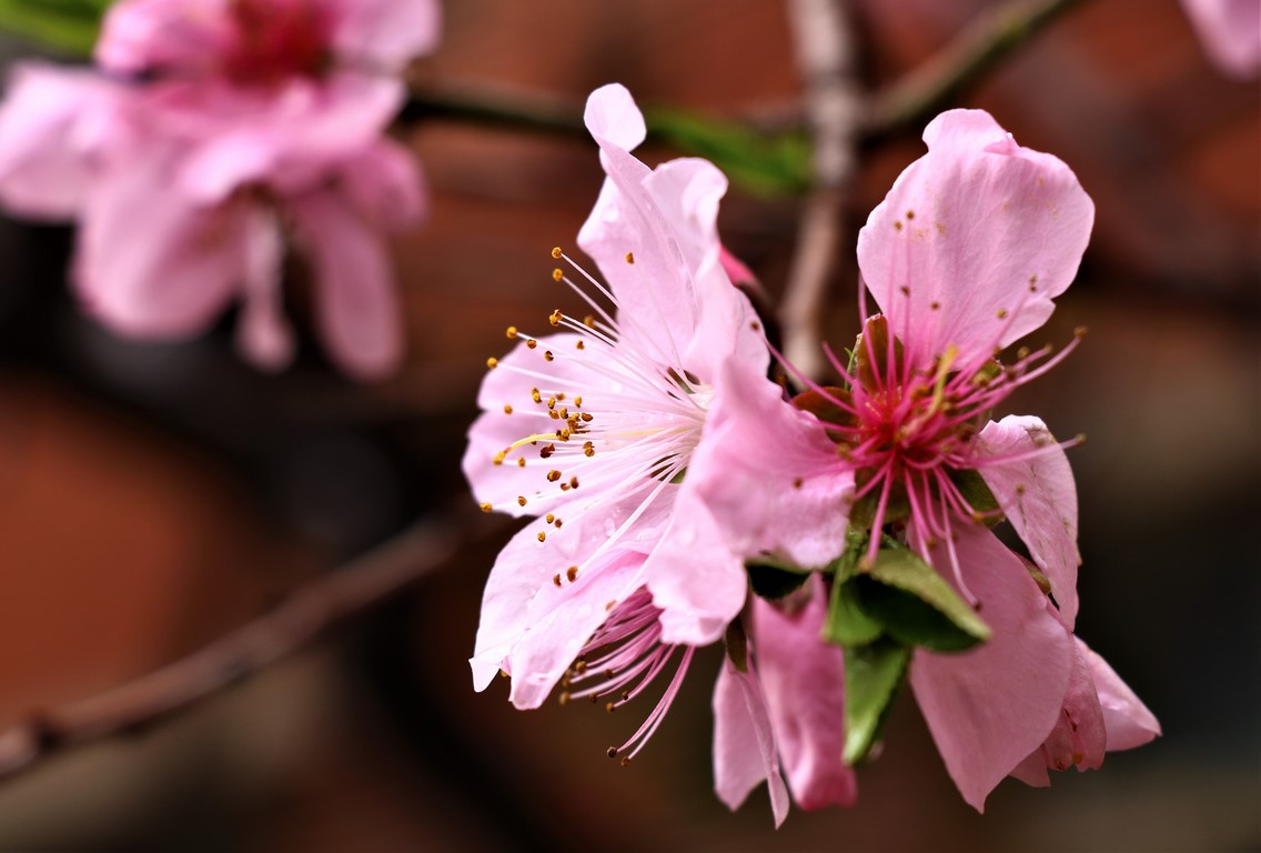郑州大学新校区门禁卡,郑州大学新校区哪个门可以随便进