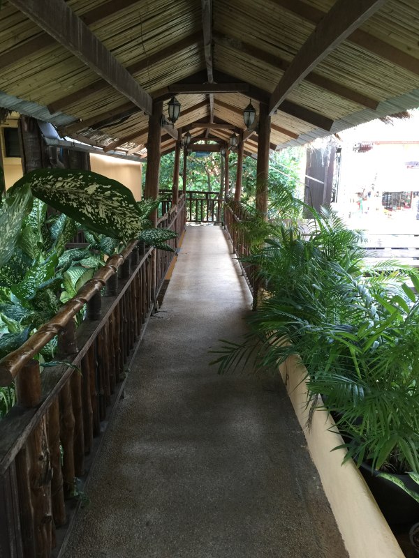 阳光沙滩海浪旅行日记,普吉甲米跟团游游记