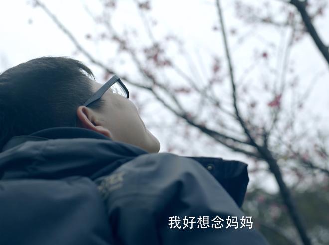 梵高和霍金爱因斯坦,牛顿爱因斯坦贝多芬都是自闭症吗