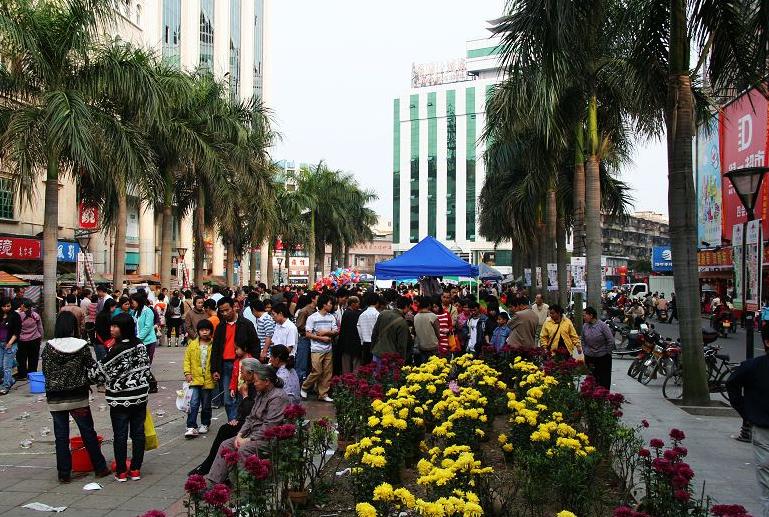 温碧霞是广东四会哪里人,温碧霞老家四会哪个镇