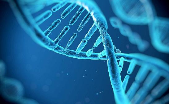 泰瑞沙9291上市了吗,泰瑞沙9291好用吗