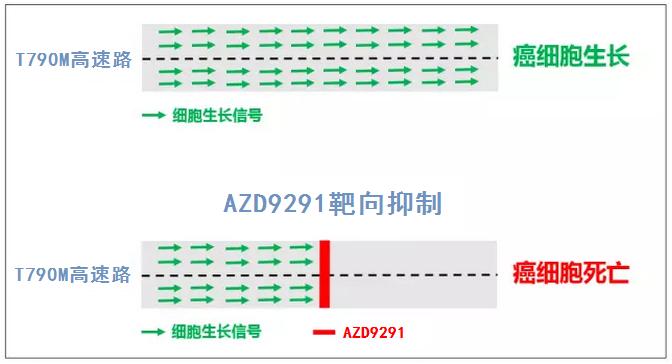泰瑞沙9291上市了吗,泰瑞沙9291好用吗