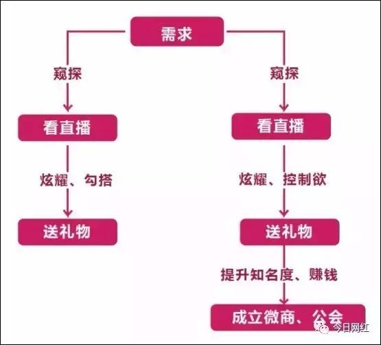 2020直播行业数据分析,2019直播行业报告