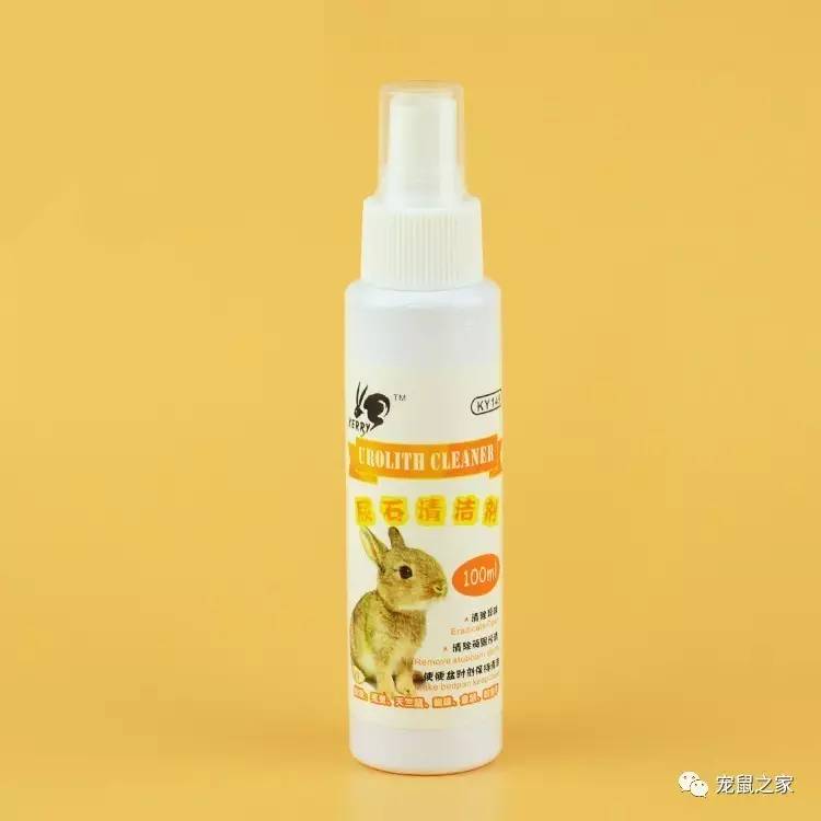 荷兰猪尿垢怎么清洗,荷兰猪尿渍怎么处理