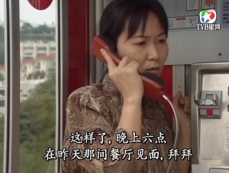 刑事侦缉档案袁天丽马成昌第五集,刑事侦缉档案袁天丽