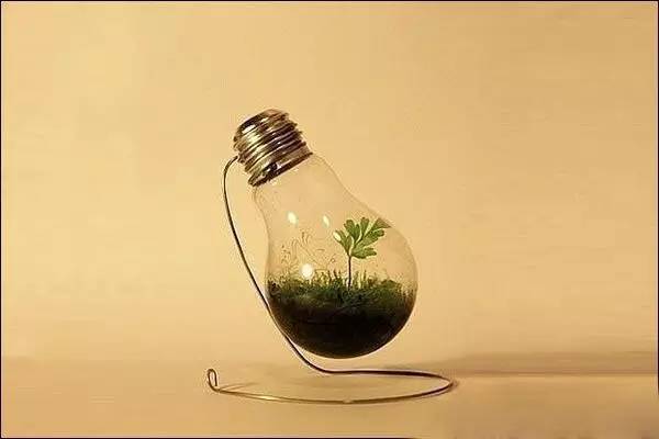 爱迪生发明电灯时，肯定想不到今天大家会这样玩丨壹起玩