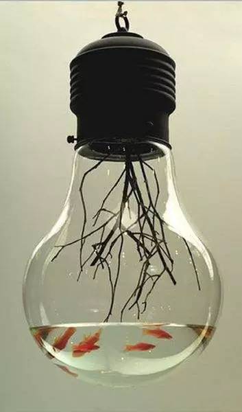 爱迪生发明电灯时，肯定想不到今天大家会这样玩丨壹起玩