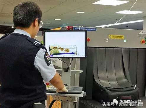 启程前必读！新西兰详细入境全流程指南