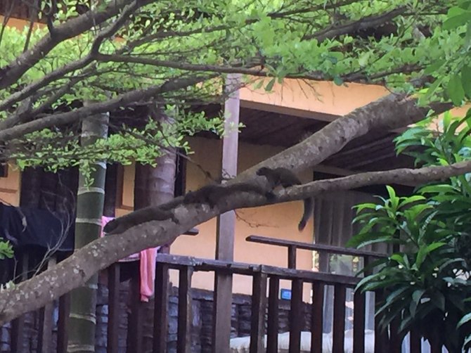 阳光沙滩海浪旅行日记,普吉甲米跟团游游记