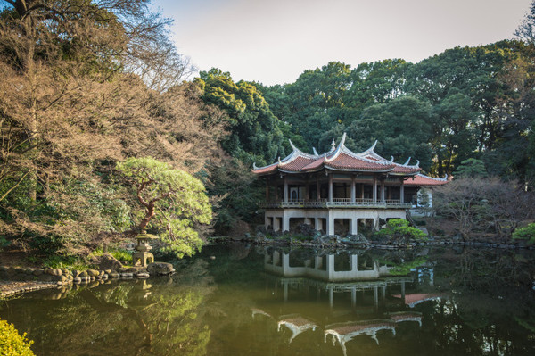 樱花烂漫几多时完整版,日本樱花节赏樱攻略视频大全